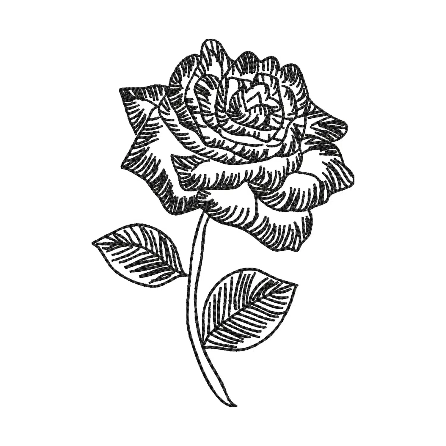 Rose Line Embroidery Design